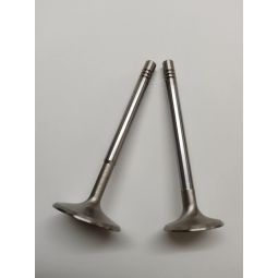 Pakoventtiili 34x8x108